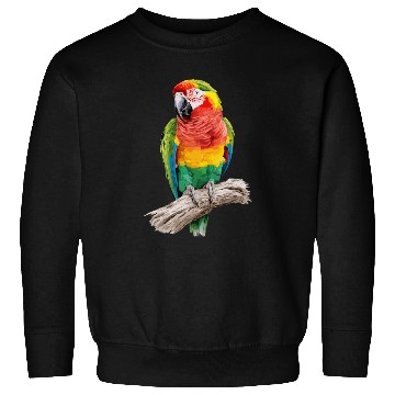 Discover Macaw Parrot for a Bird Lover Animal Lover Sweatshirts