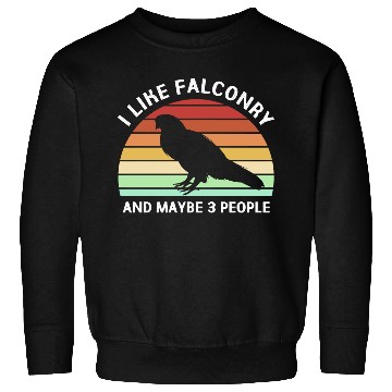 Discover Retro I Like Falconry And Maybe Three People Sweatshirts