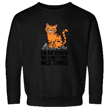 Discover Orange Tabby Cat Reason We Can't Have Nice Things Sweatshirts