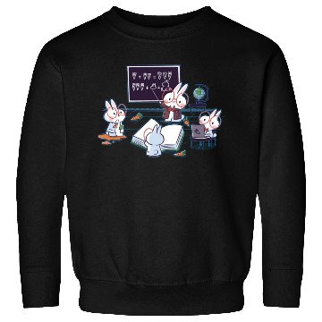 Discover Bunnies Math, Funny Back To School Sweatshirts