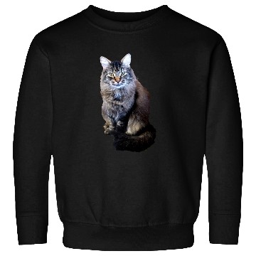 Discover Indie the Cute Cat Sweatshirts