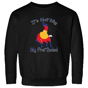 Discover It's Not My First Rodeo Horse Sweatshirts