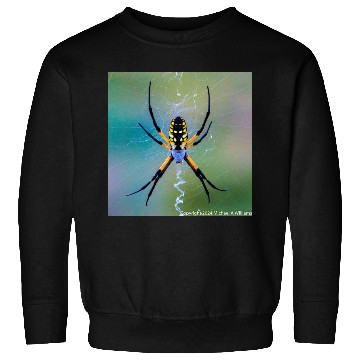 Discover Garden Spider Sweatshirts