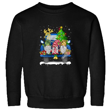 Discover Christmas Truck Cute Gnomes Sweatshirts