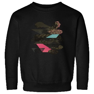Discover Abstract Shapes Maximal Shapes Sweatshirts