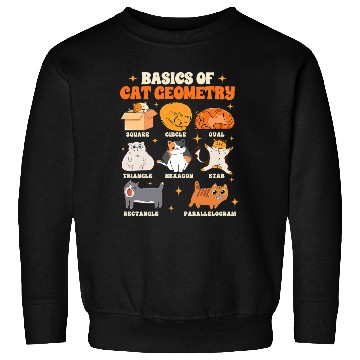 Discover Math Teacher Life Teaching Basics Of Cat Geometry Sweatshirts