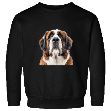 Discover Saint Bernard Sweatshirts