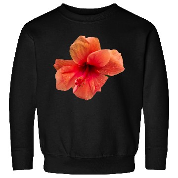 Discover Orange colour hibiscus flower Sweatshirts