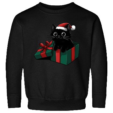 Discover Christmas Gift Cat Sweatshirts