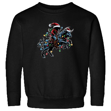 Discover Rodeo Barrel Racer Barrel Racing Christmas Hat Sweatshirts