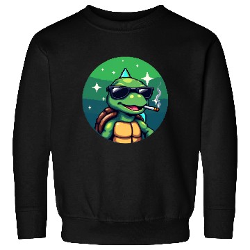 Discover Sweatshirts Turtle Cool