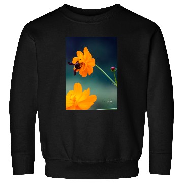Discover Nature bee Sweatshirts