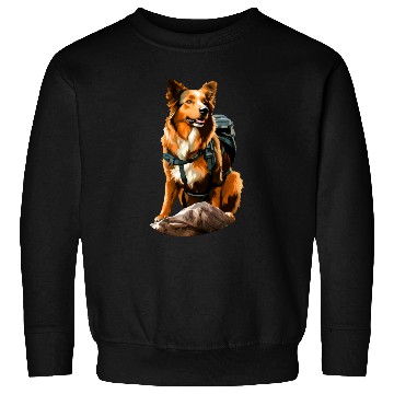 Discover Dogs Mountaineering / Hiking Dog Sweatshirts