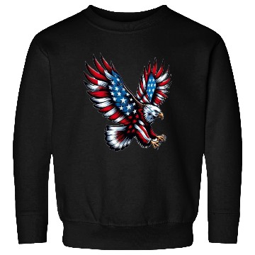 Discover USA American Eagle Sweatshirts