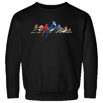 Discover Garden Birds Blue Jay Cardinal Bullfinch Birding Sweatshirts