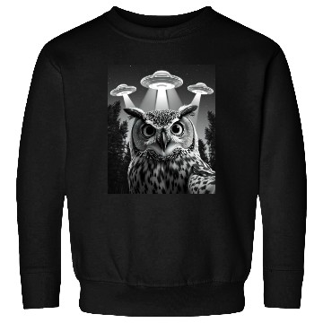 Discover UFO Funny Owl Sweatshirts