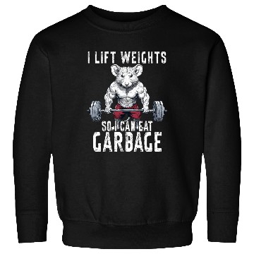 Discover Opossum Weightlifting Workout Gym Gift Sweatshirts