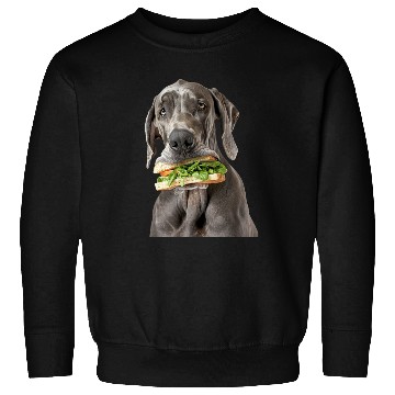 Discover Great Dane Sweatshirts