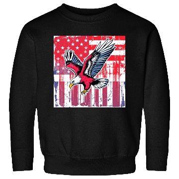 Discover American Eagle Illustration Sweatshirts