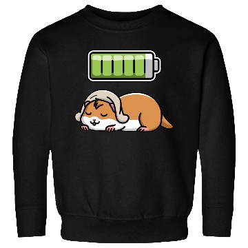 Discover Hamster Sleeping Recharging Night Bedtime Sweatshirts