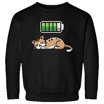 Discover Cat Sleeping Recharging Night Bedtime Sweatshirts