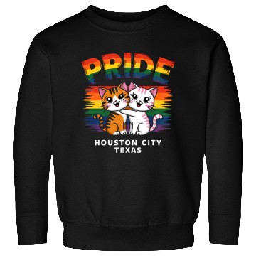 Discover Pride Month Houston City Texas USA Rainbow Flag LG Sweatshirts