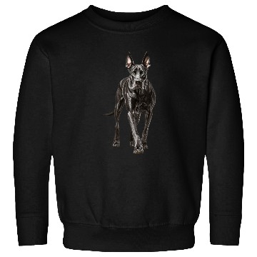 Discover Great Dane Sweatshirts