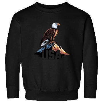 Discover Patriotic Eagle Sweatshirts
