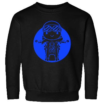 Discover Bird Motorcycle Riding Biker Motorcyclist Hobby Sweatshirts