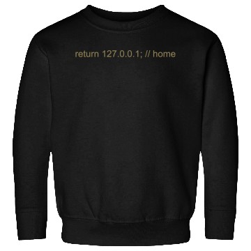 Discover Programmer Nerd IT Joke Developer Home Sweatshirts