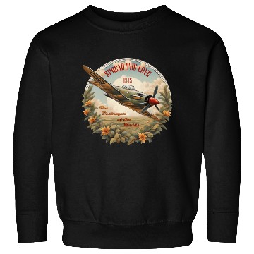 Discover vintage aircraft Sweatshirts