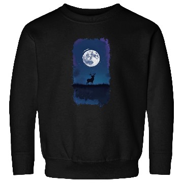 Discover Night and Elf Sweatshirts
