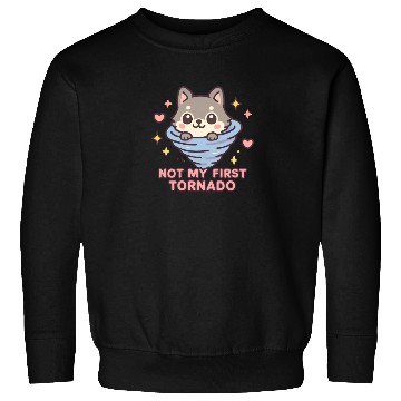 Discover Not My First Tornado Storm Weather Meteorologist Sweatshirts
