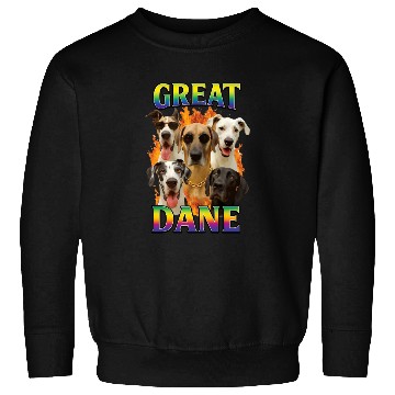 Discover Great Dane Sweatshirts