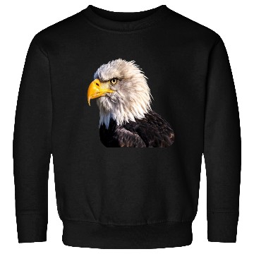 Discover 1 Eagle Sweatshirts