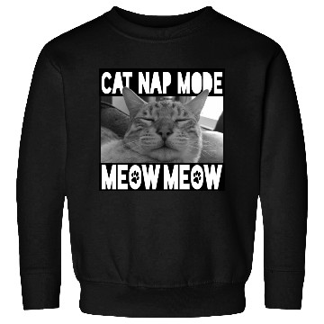 Discover Cute Sleeping Kitty - Meow Meow Sweatshirts