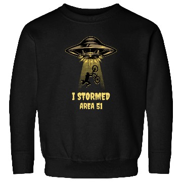 Discover I Stormed Area 51 – Funny UFO Sweatshirts
