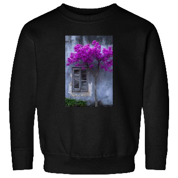 Discover Vibrant Blossom Against Rustic Wall Sweatshirts