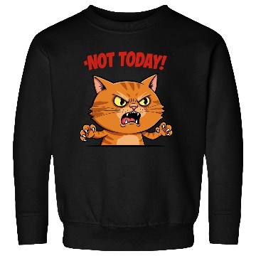 Discover Not Today Angry Cat Sweatshirts | Funny Grumpy Cat Mem