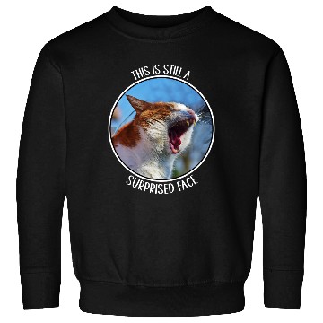 Discover This is Still A Surprised Face Funny Cute Cat Meme Sweatshirts