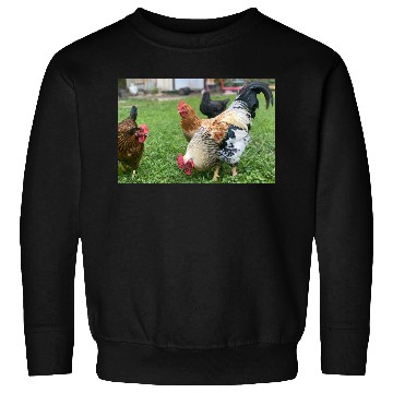 Discover Farmyard Rooster and Chickens Illustration Sweatshirts