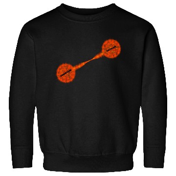 Discover Quantum Physics Particle Science Entanglement  Sweatshirts