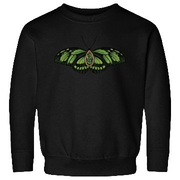Discover August Green Peridot Dido Longwing Butterfly Art Sweatshirts