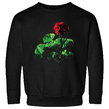 Discover Backlit Red Geranium Sweatshirts