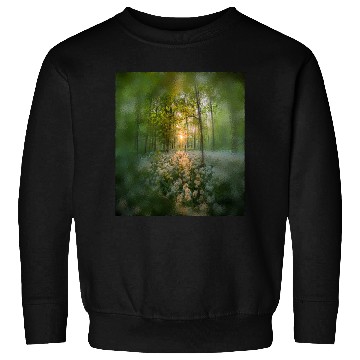 Discover Sunlit Forest with Wildflowers Sweatshirts