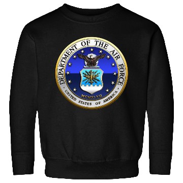 Discover US Air Force (USAF) Seal Sweatshirts