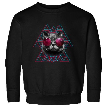 Discover 3D Space Cat Sweatshirts (Womens)