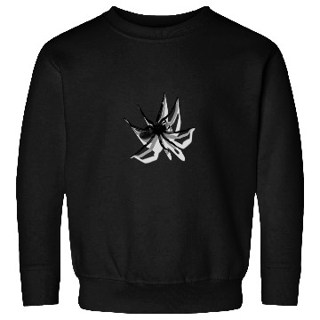 Discover Spider Sweatshirts