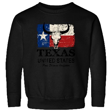 Discover Texas Bull Flag - Vintage Look Sweatshirts