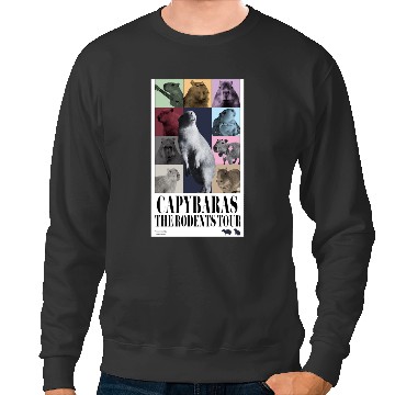 Discover Eras Tour Sweatshirts